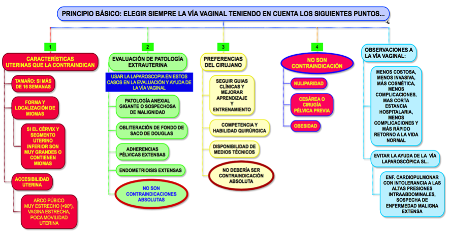 guia-de-eleccion-de-via-de-abordaje